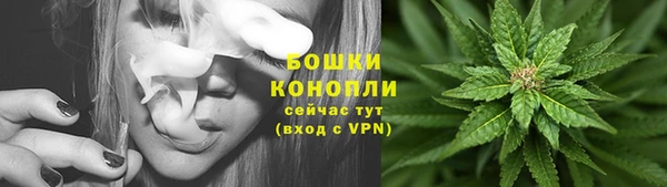 PSILOCYBIN Вязники