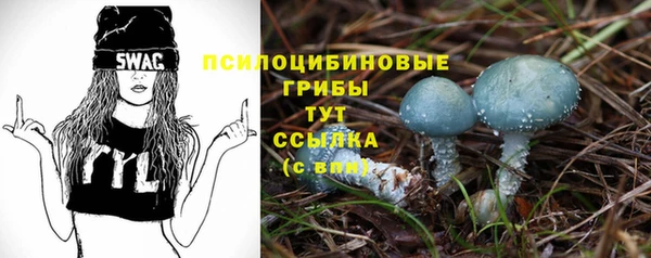 PSILOCYBIN Вязники